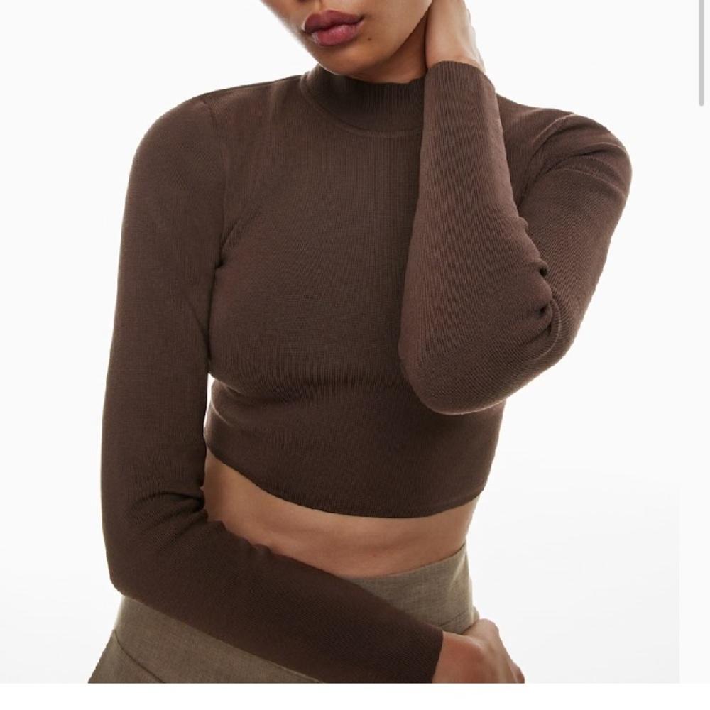 Aritzia Babaton sculpt knit turtleneck long sleeve size small chocolate brown